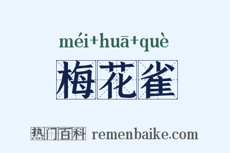梅花雀是什么意思的图片